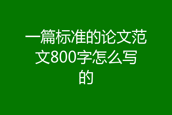 一篇标准的论文范文800字怎么写的