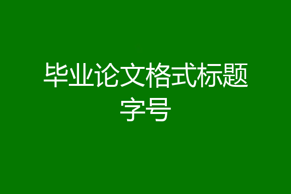 毕业论文格式标题字号