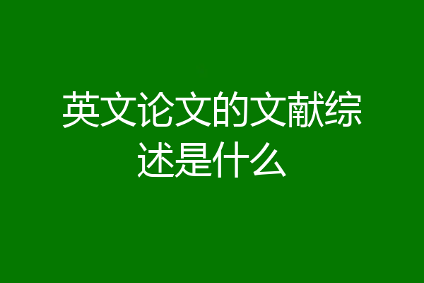 英文论文的文献综述是什么