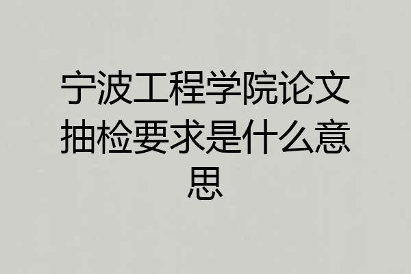 宁波工程学院论文抽检要求是什么意思
