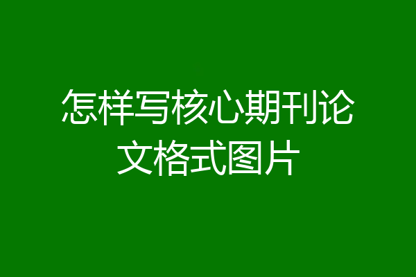 怎样写核心期刊论文格式图片