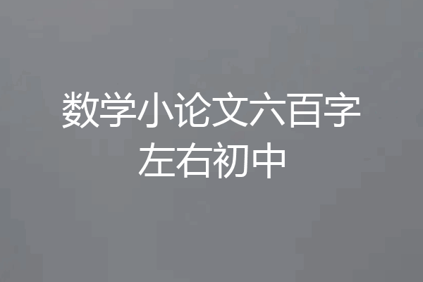数学小论文六百字左右初中