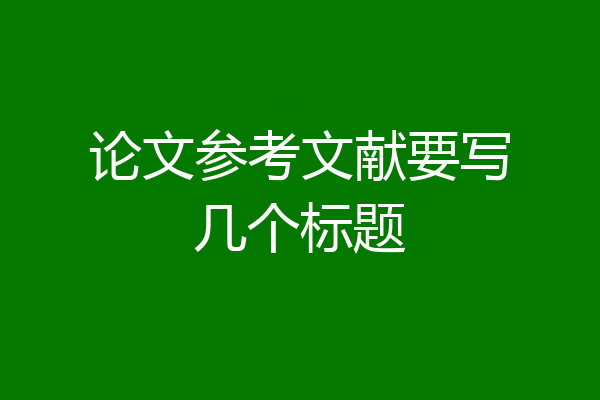 论文参考文献要写几个标题