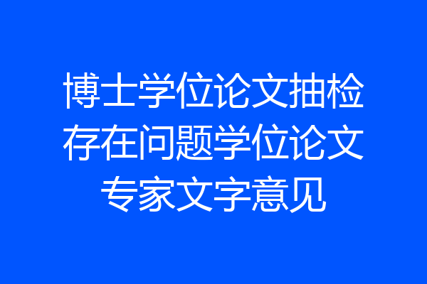 博士学位论文抽检存在问题学位论文专家文字意见