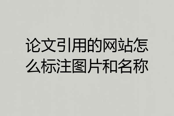 论文引用的网站怎么标注图片和名称