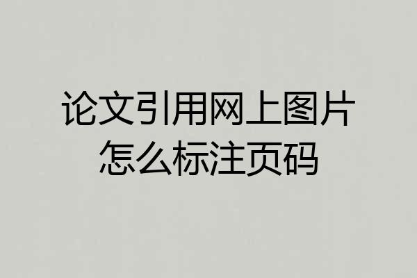 论文引用网上图片怎么标注页码