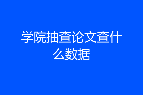 学院抽查论文查什么数据