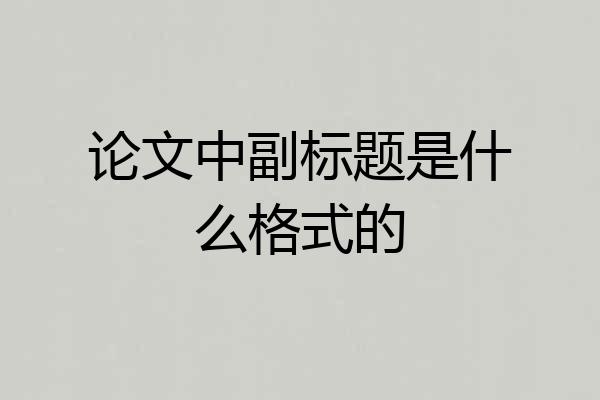 论文中副标题是什么格式的