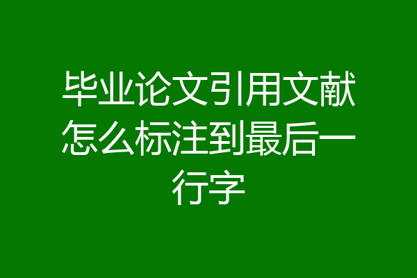 毕业论文引用文献怎么标注到最后一行字