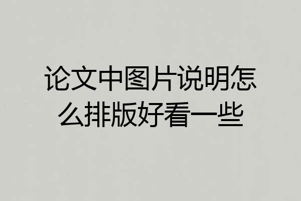 论文中图片说明怎么排版好看一些