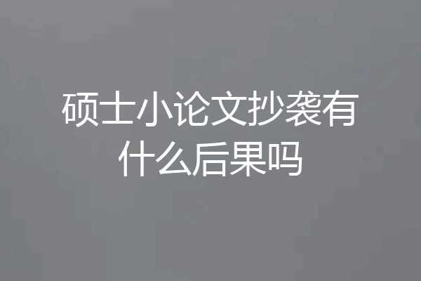 硕士小论文抄袭有什么后果吗