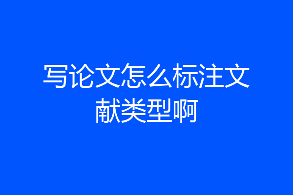 写论文怎么标注文献类型啊