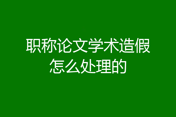 职称论文学术造假怎么处理的