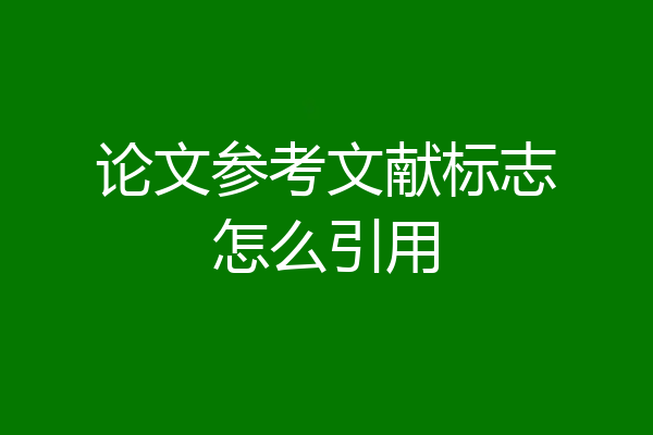 论文参考文献标志怎么引用