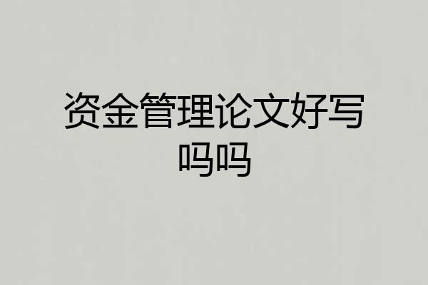 资金管理论文好写吗吗
