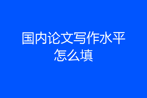 国内论文写作水平怎么填