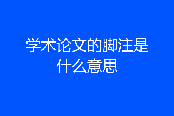 学术论文的脚注是什么意思