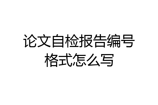 论文自检报告编号格式怎么写