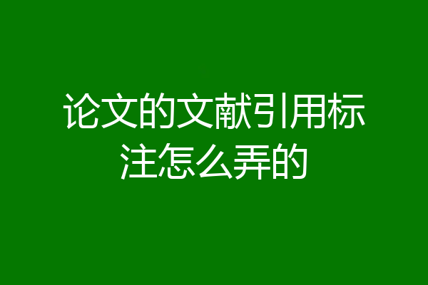 论文的文献引用标注怎么弄的
