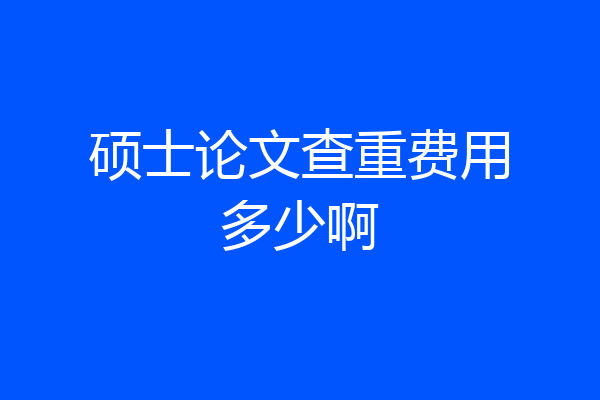 硕士论文查重费用多少啊
