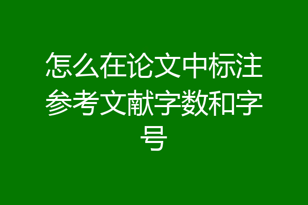 怎么在论文中标注参考文献字数和字号