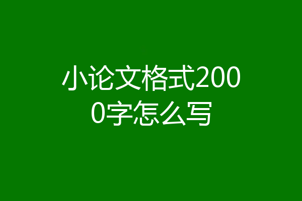 小论文格式2000字怎么写