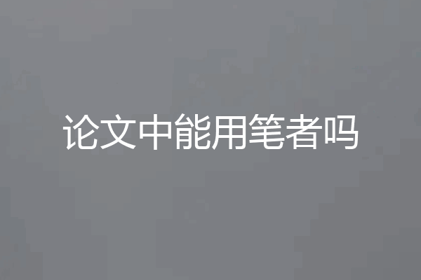 论文中能用笔者吗