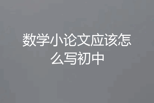 数学小论文应该怎么写初中