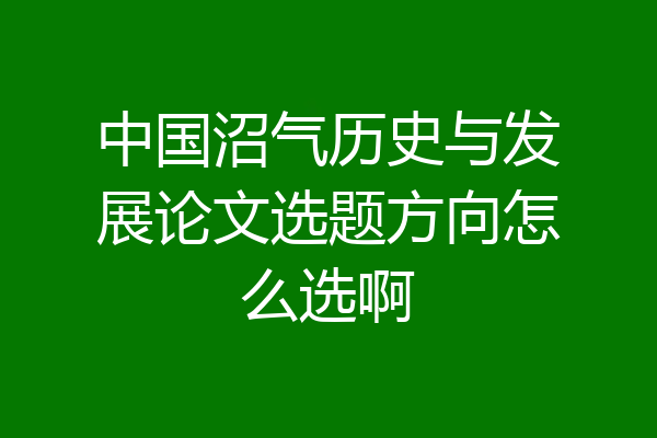 中国沼气历史与发展论文选题方向怎么选啊