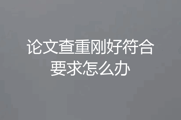 论文查重刚好符合要求怎么办