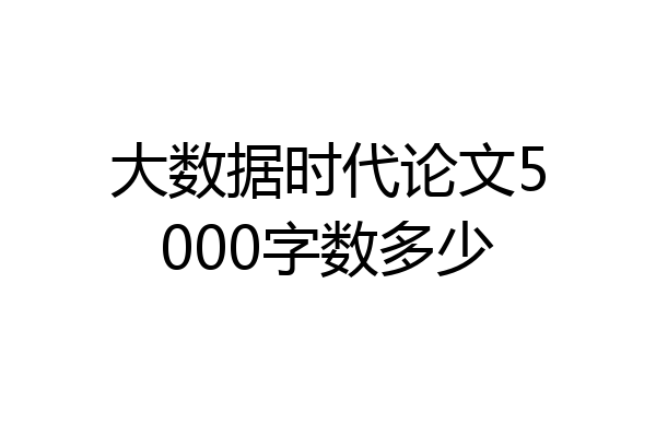 大数据时代论文5000字数多少