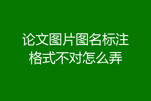 论文图片图名标注格式不对怎么弄