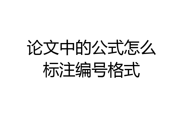 论文中的公式怎么标注编号格式