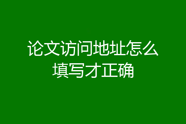 论文访问地址怎么填写才正确