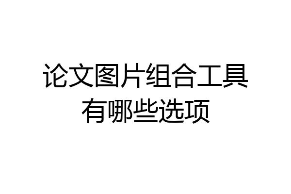 论文图片组合工具有哪些选项