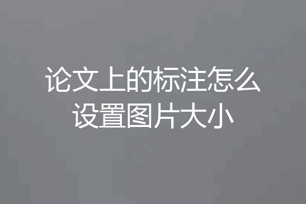 论文上的标注怎么设置图片大小