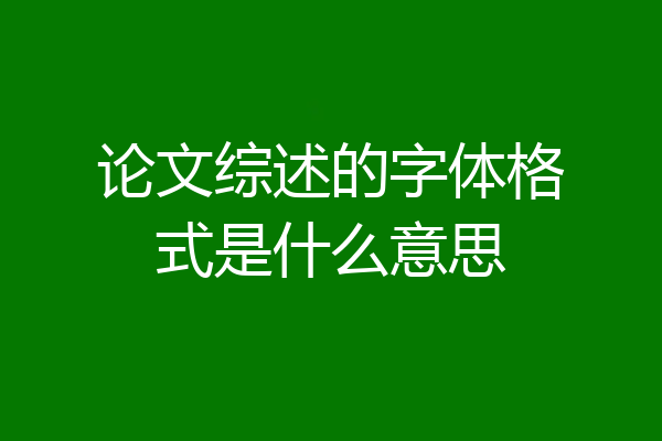 论文综述的字体格式是什么意思