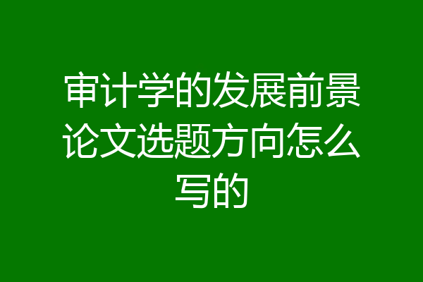 审计学的发展前景论文选题方向怎么写的