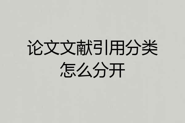 论文文献引用分类怎么分开