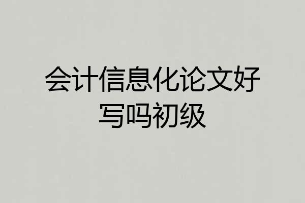 会计信息化论文好写吗初级