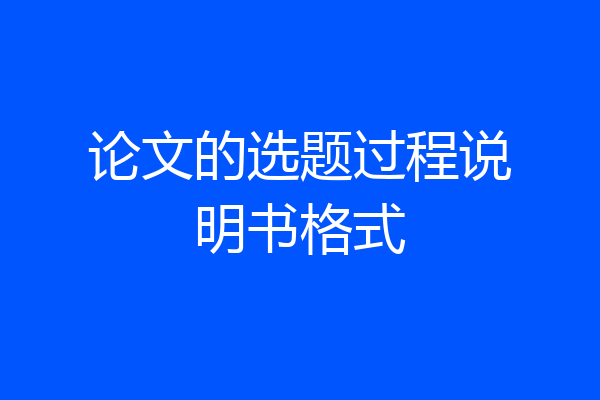 论文的选题过程说明书格式