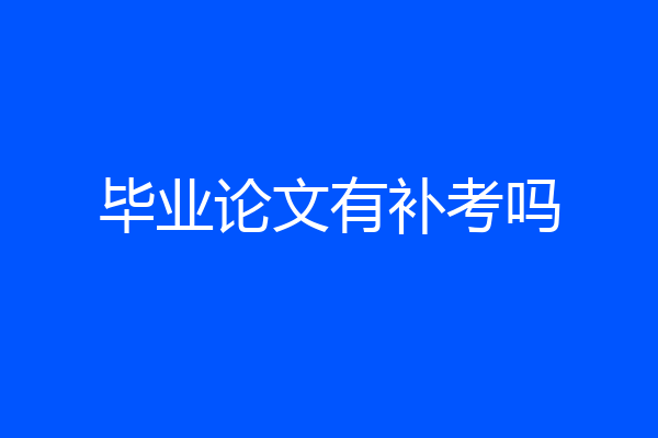 毕业论文有补考吗