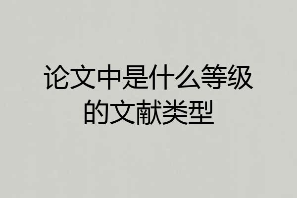 论文中是什么等级的文献类型