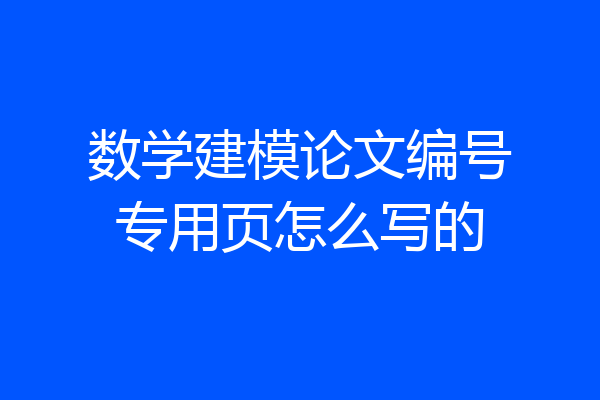 数学建模论文编号专用页怎么写的