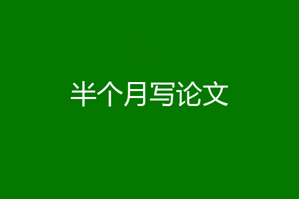 半个月写论文