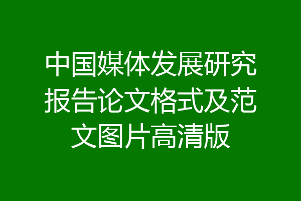 中国媒体发展研究报告论文格式及范文图片高清版