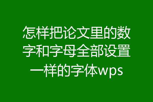 怎样把论文里的数字和字母全部设置一样的字体wps