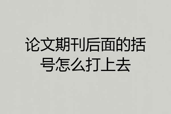 论文期刊后面的括号怎么打上去