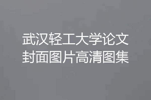武汉轻工大学论文封面图片高清图集