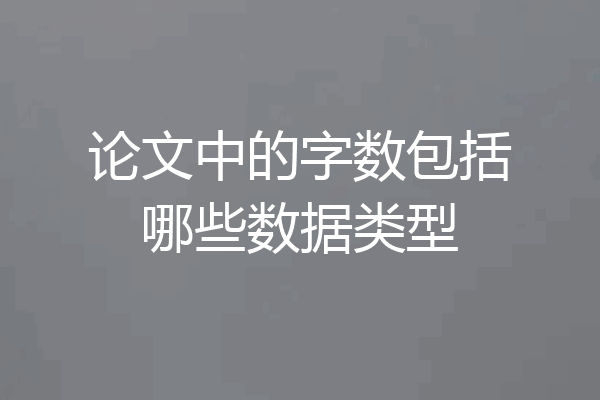 论文中的字数包括哪些数据类型